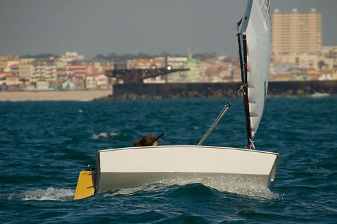 Opti_1CRN09_064