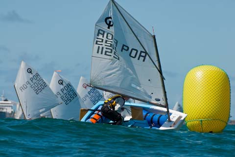 Optimist_TCT_109